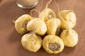 Brotos de maca peruana