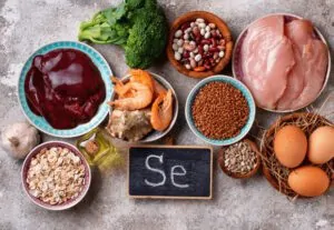 Opções de alimentos ricos em selênio