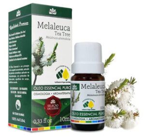 Óleo de melaleuca para que serve | Melhor Saúde