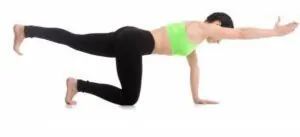 Exercício para coluna perdigueiro