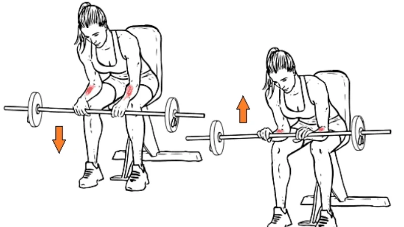 exercício de treino para antebraço rosca punho invertida