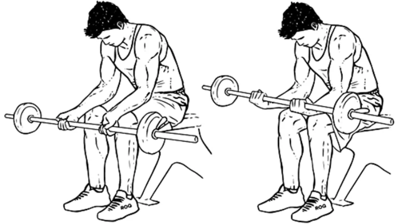 exercício de treino para antebraço rosca de punho