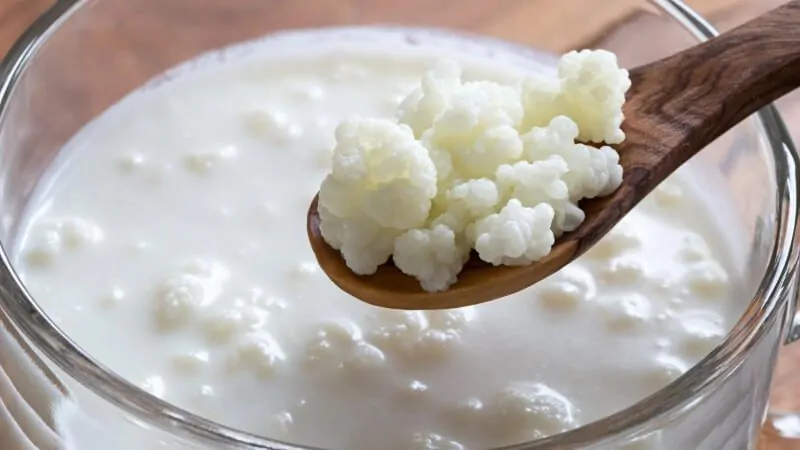 imagem com o alimento Kefir