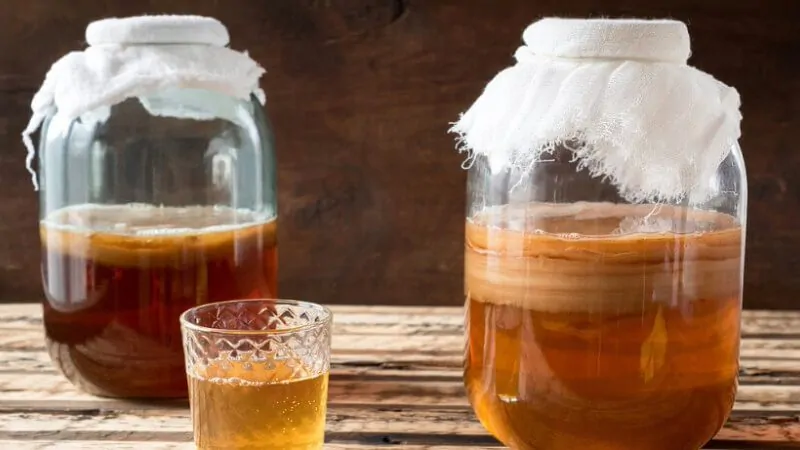 imagem com um vidro de kombucha