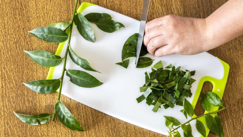 imagem de uma pessoa cortando as folhas de ora-pro-nóbis para cozinhar