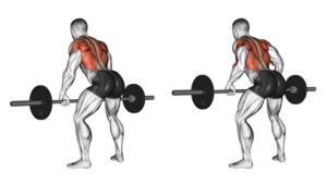 imagem ilustrativa de como realizar o exercício remada curvada