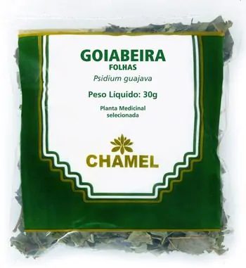 Folhas de goiaba para intestino