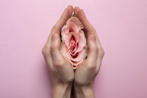 imagem ilustrativa de uma vulva