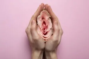 imagem ilustrativa de uma vulva