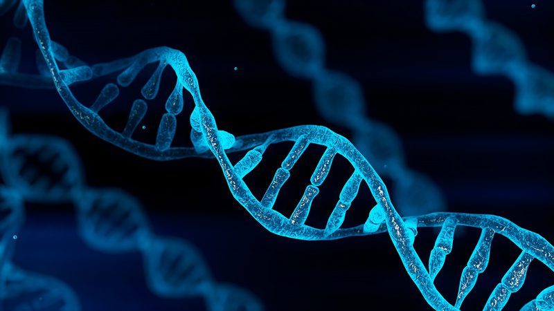 Moléculla de dna e o que é gene